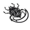 Dream Weaver Spider Rhinestone Pasties