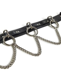 Alternative view of Ring And Chain Belt